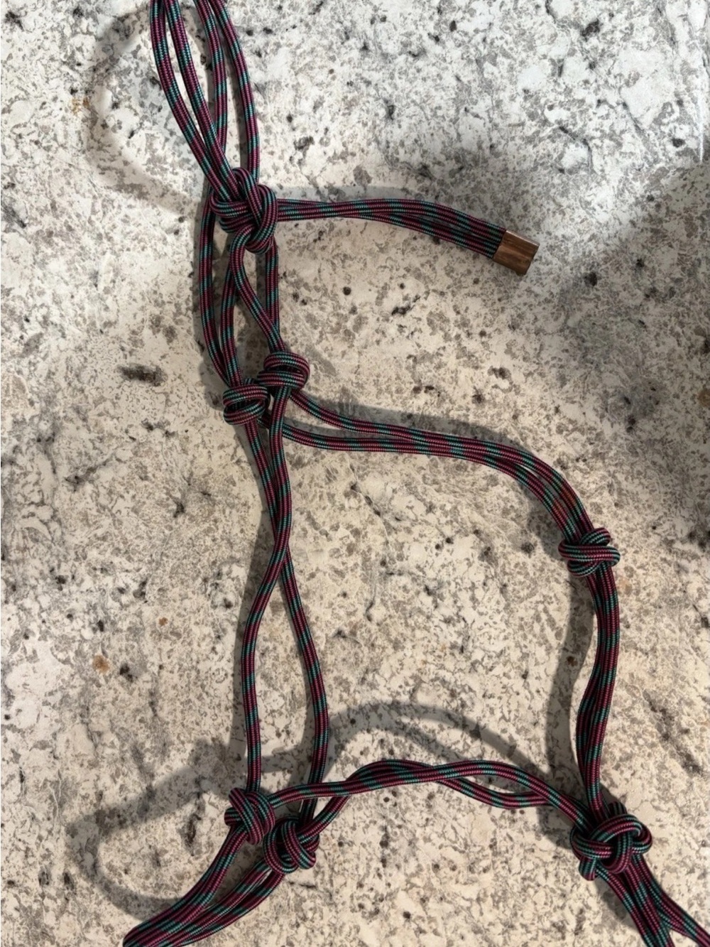 Rope halter horse size